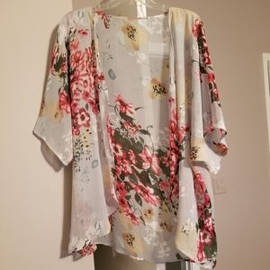 Sheer Chiffon Blouse Top